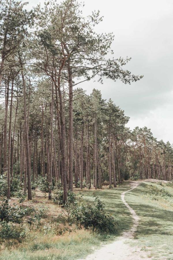 Boshuisje Op De Veluwe نونسبيت المظهر الخارجي الصورة
